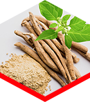 KSM-66 ashwagandha root